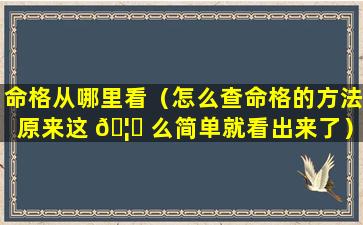 命格从哪里看（怎么查命格的方法原来这 🦅 么简单就看出来了）
